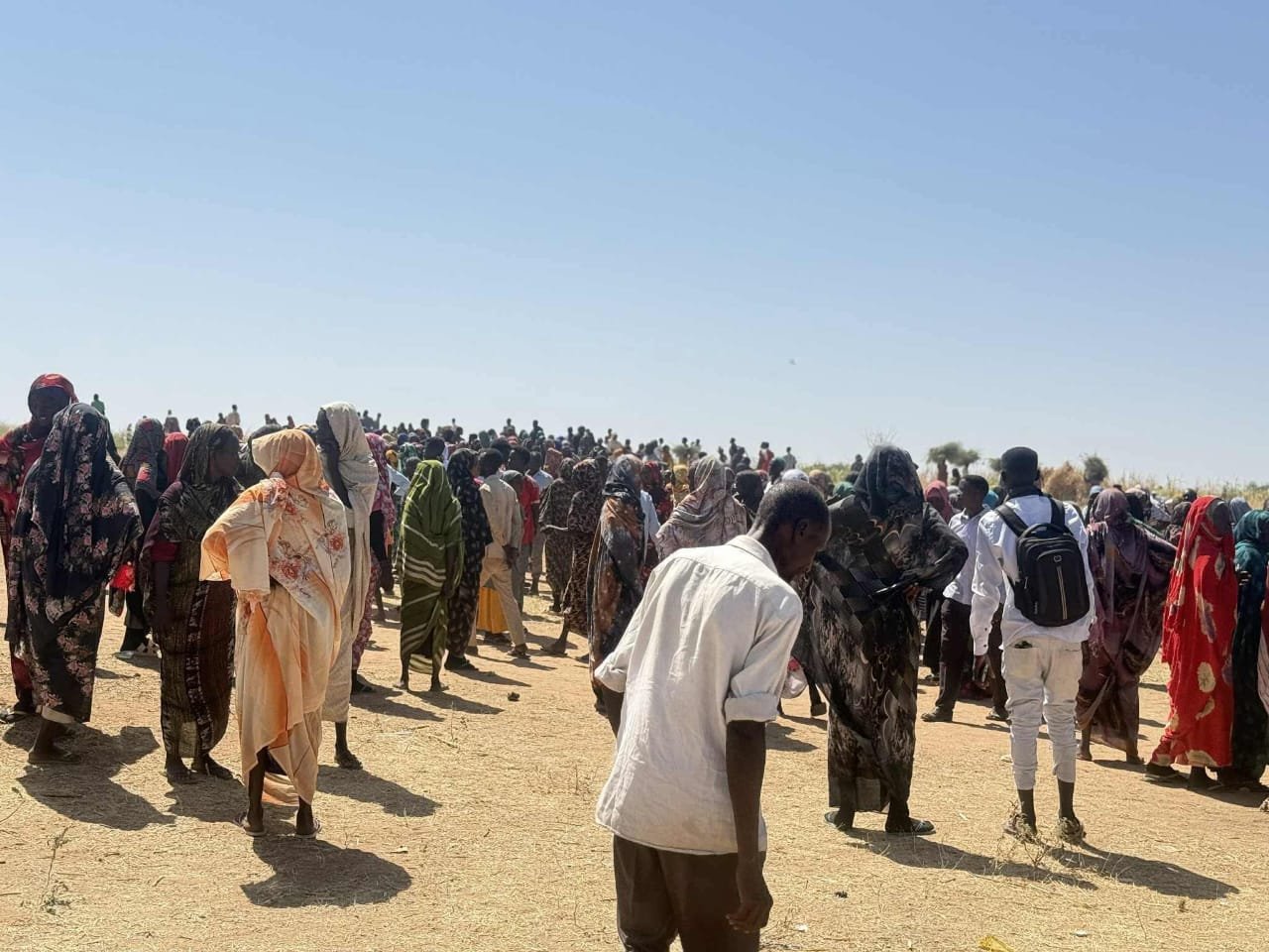 WhatsApp Image 2025-11-03 at 08.44.27_d62845e1